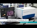 Introducing the ImageXpress Confocal HT ai High-Content Imaging System