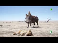Download Lagu El Rey León (2019) | Escena: 'Le llamaremos Fred ' | HD