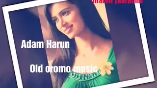 Adam Harun Old Oromo Music Addunyaa Tanarraa Si Maleen Jaalannee 