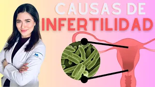Principales causas de infertilidad