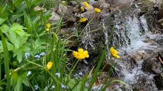 الصلاة على النبي بصوت الشيخ سعد الغامدي 