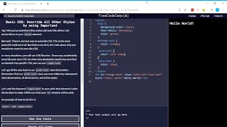 Basic CSS Override All Other Styles by using Important freeCodeCamp