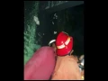 Download Lagu istri bakar rumah sendiri karena kesal n depresi suami kawin lagi,Tapos, Depok, Minggu 16/4/17 malam