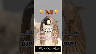 بلبل خام بداية حچي لعيون الجميع  زنون   لا تنسى الاشتراك في القناة لطفآ دندنها