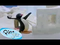 Download Lagu Pingu in the Snow 🐧 | Pingu - Official Channel | Cartoons For Kids