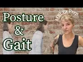 Postural Assessment Gait Analysis for Massage Therapists Kinesiology MBLEx Prep