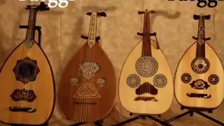 ياوليفي بسني كفايه ميحد حمد 