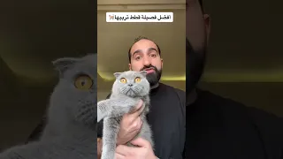 ايش هي فصيلة قطتك Shorts 