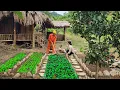 Download Lagu Insinyur Listrik yang Baik Hati Membantu Ibu Tunggal Membangun Kebun Sayur