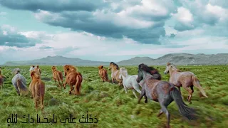 زمانك بستان وعصر ك أخضر وذكراك عصفور من القلب ينق ر 