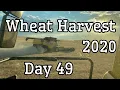Download Lagu Wheat Harvest 2020 - Day 49