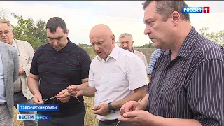 Аграрии рискуют остаться без зерновых, а Омская область  понести потери до миллиарда рублей