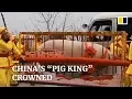 China’s new year ‘pig king’ weighs in at nearly a tonne