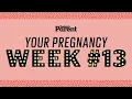 Your pregnancy 13 weeks