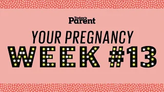 Your pregnancy 13 weeks