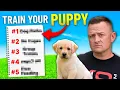 How to Train Your NEW Puppy - 5 Simple Steps