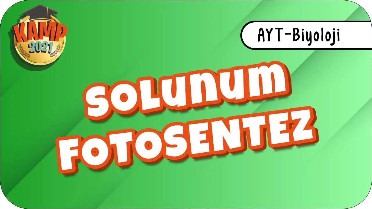 Fotosentez - Solunum | AYT Biyoloji #biyolojik