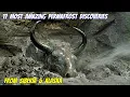 17 Most Amazing Permafrost Discoveries From Siberia \u0026 Alaska