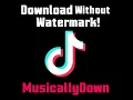 Download Lagu MusicallyDown - Download TikTok MP3 \u0026 Videos [Tutorial]