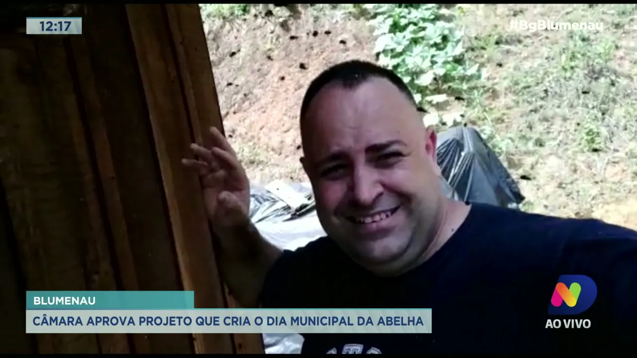 Câmara de Blumenau aprova projeto que cria o Dia Municipal da Abelha