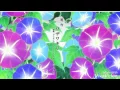 Download Lagu Fukigen Na Mononokean || OP \u0026 ED Official HD