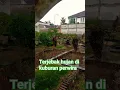 Download Lagu terjebak di kuburan #shortvideo #makam #shortviral #ambulance #status #story #whatsapp #innalillahi