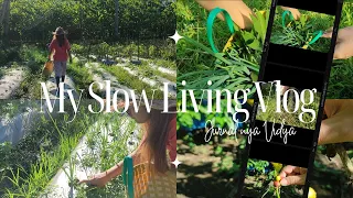 indonesian slow living lifestyle going to my countryside vlog part 2