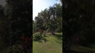 Bahá í House Of Worship Panama City Panama 