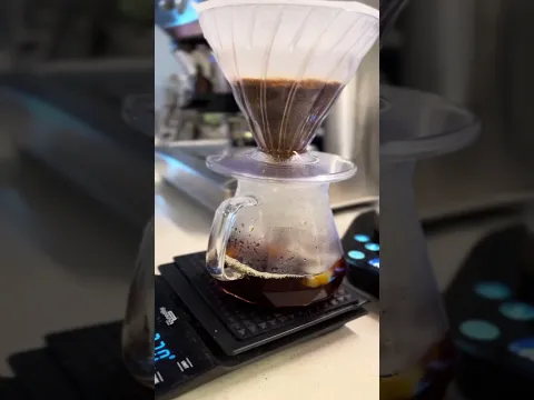 Babanayfa Coffee 02 - Japanese Iced Coffee Argopuro Walida
