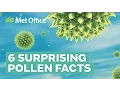 6 Surprising facts about pollen