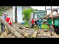 Download Lagu REWIND TIMELAPSE – Use Truck to Buy 5000+ kg Big Wood from Villager and Transport to Wood Factory