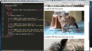 HTML vs CSS What s the Difference