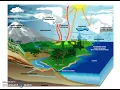 Nutrient Cycles