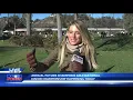 FUTURE CHAMPIONS GOLF 6 KUSI TV 12 29 18 930am
