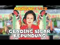 Lagu Temu - Gending Sigar Kepundung -  (Offcial Music Video ANEKA SAFARI TV)