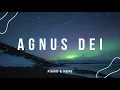 Download Lagu 5 HOURS // AGNUS DEI // PIANO \u0026 HOPE