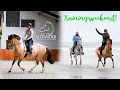 Download Lagu Trainingsweekend bij Hof van Alexander! | felinehoi VLOG #249