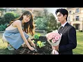 Download Lagu No One Thought ColdCEO,Who Is Allergic To Women,Would Fall In Love With Girl From Countryside Hoeing