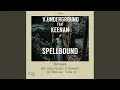 Download Lagu Spellbound (Kojo Akusa Remix)
