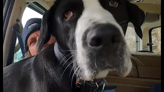 I am in love with Mindy of Greece