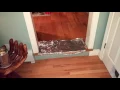Proof Dogs Don t Like To Walk On Tin Foil