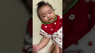 いないいないばあっ 