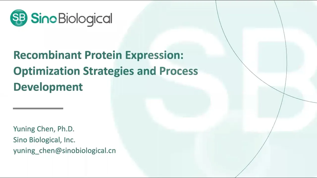 Recombinant Protein Expression Optimization Strategies and Process Development