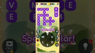 Crossword Jam Level 146 Crossword Jam Brazil 16