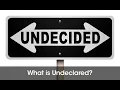 What Does Undeclared Mean On A College Application