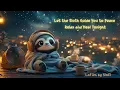 Let the Sloth Guide You to Peace Relax and Heal Tonigh