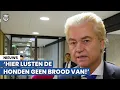 Wilders over plannen Jetten en Bontenbal: 'Nationale zelfmoordbrief'