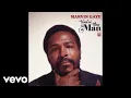 Download Lagu Marvin Gaye - Symphony (SalaAM ReMi Mix)