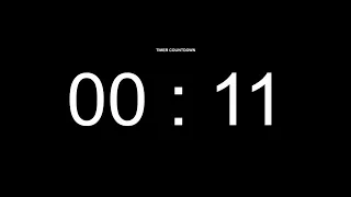 11 Seconds Countdown Timer