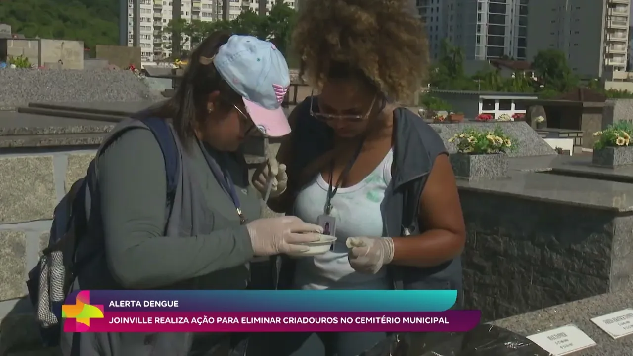 Joinville intensifica ação no cemitério municipal para eliminar criadouros do aedes aegypti